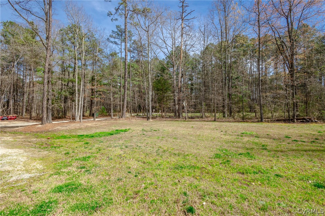 2406 Emanuel Church Road Powhatan, VA 23139 - Photo 50 of 50 a view of outdoor space with trees