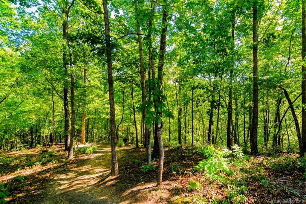 54 Silver Ridge Road Mill Spring, NC 28756 - Photo 19 of 23