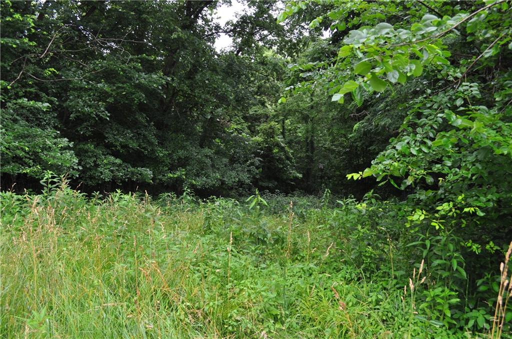 33135 Iatan Road Weston, MO 64098 - Photo 34 of 43