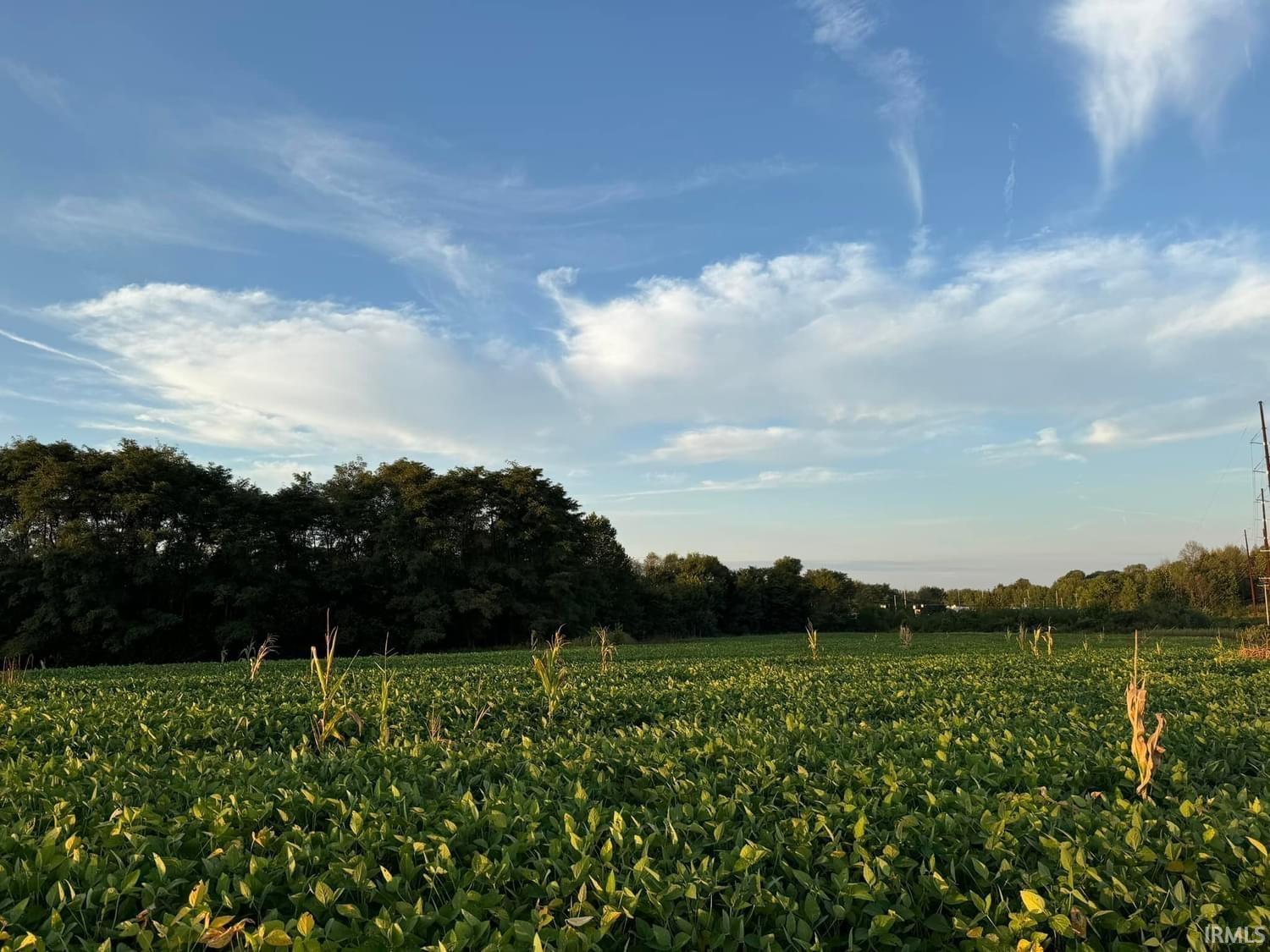0 Fox Ridge Evansville, IN 47712 - Photo 11 of 15