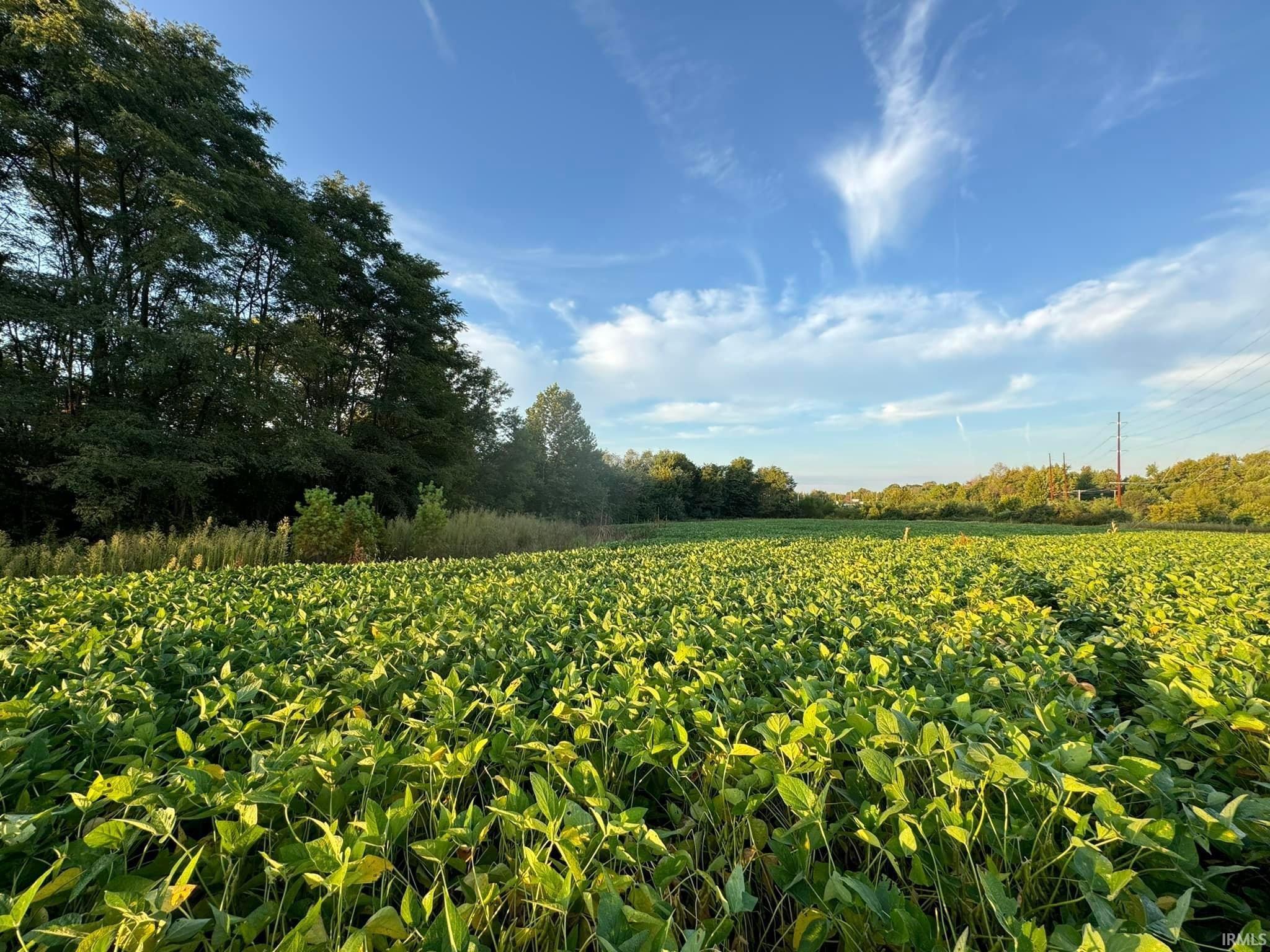 0 Fox Ridge Evansville, IN 47712 - Photo 13 of 15