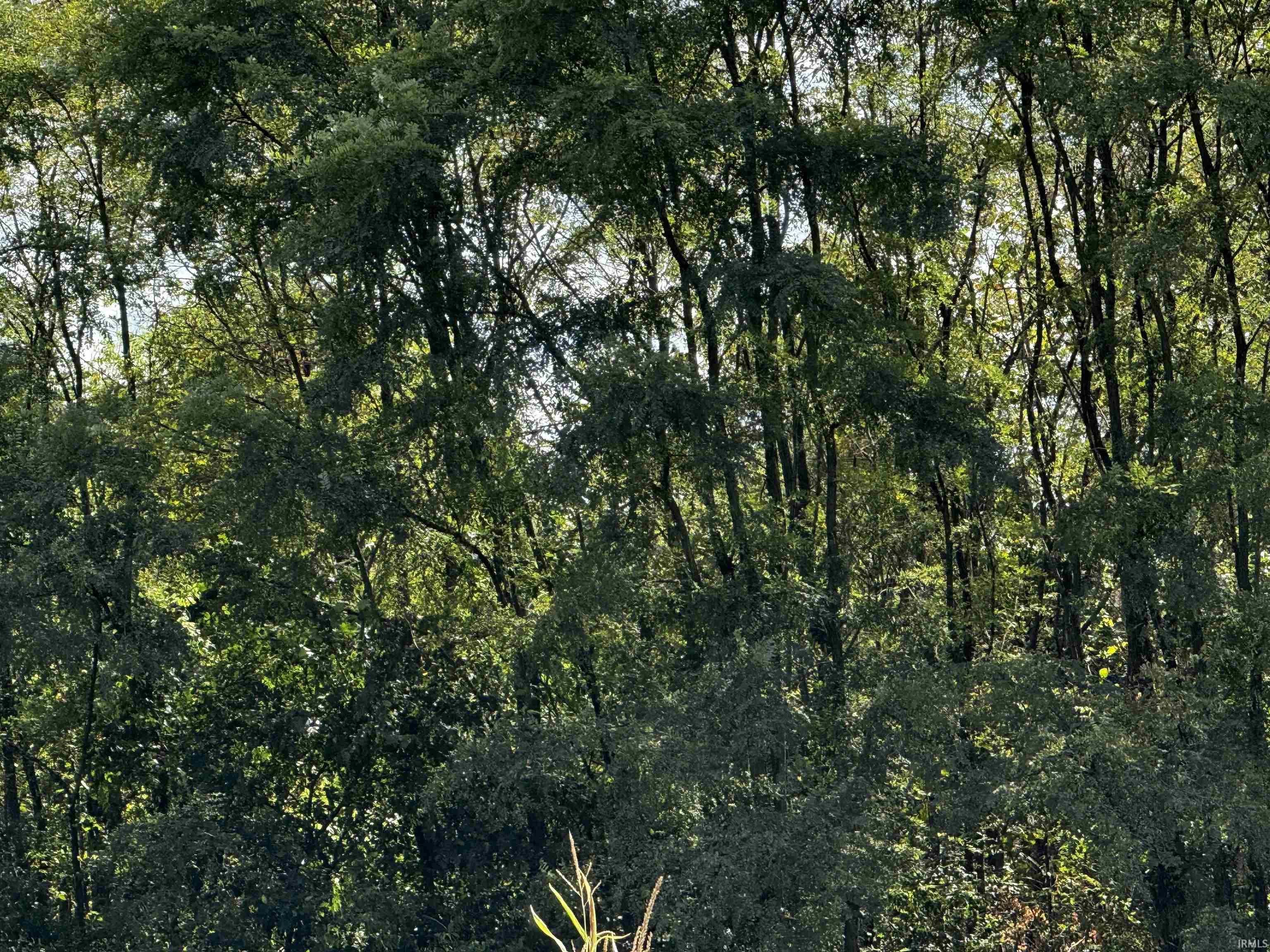 0 Fox Ridge Evansville, IN 47712 - Photo 15 of 15