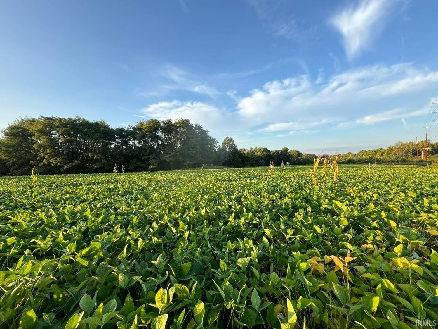 0 Fox Ridge Evansville, IN 47712 - Photo 6 of 15