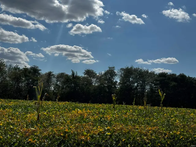 $199,900 | 0 Fox Ridge, Evansville, IN 47712