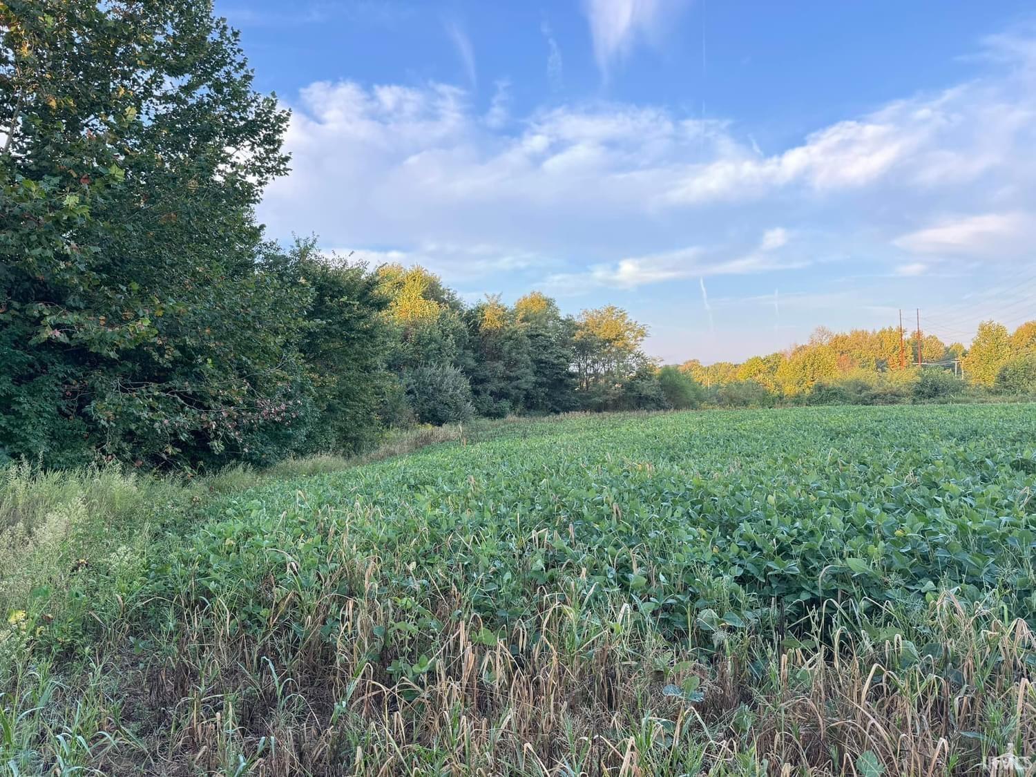 0 Fox Ridge Evansville, IN 47712 - Photo 10 of 15