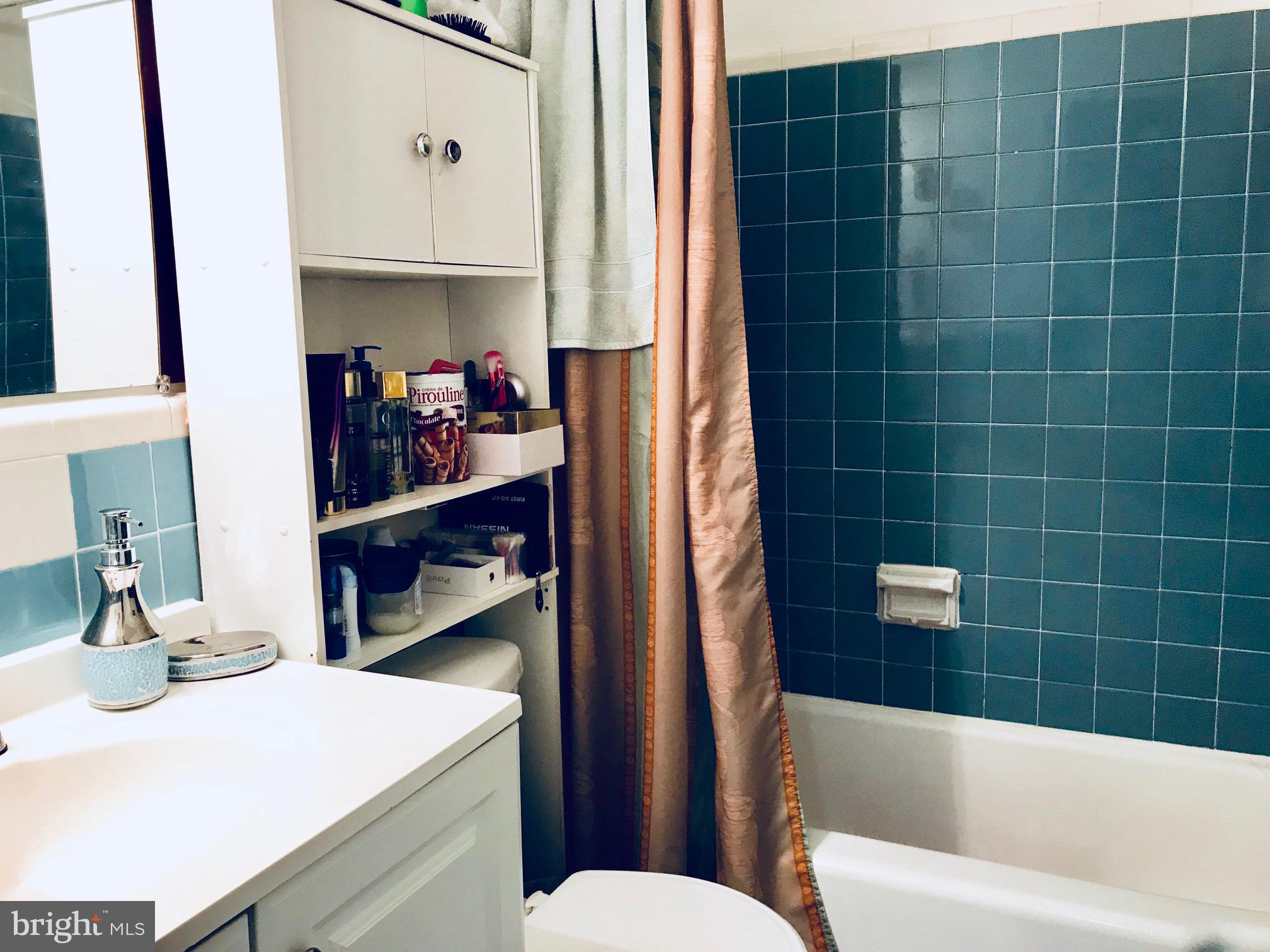 8601 Manchester Road, Unit 105 Silver Spring, MD 20901 - Photo 7 of 10 bathroom