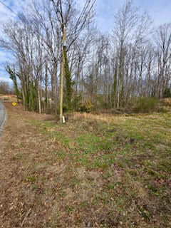 Lot 2 Kaye Street Seneca, SC 29678 - Photo 1 of 3 Gallery Image 1