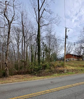Lot 2 Kaye Street Seneca, SC 29678 - Photo 2 of 3 Gallery Image 2