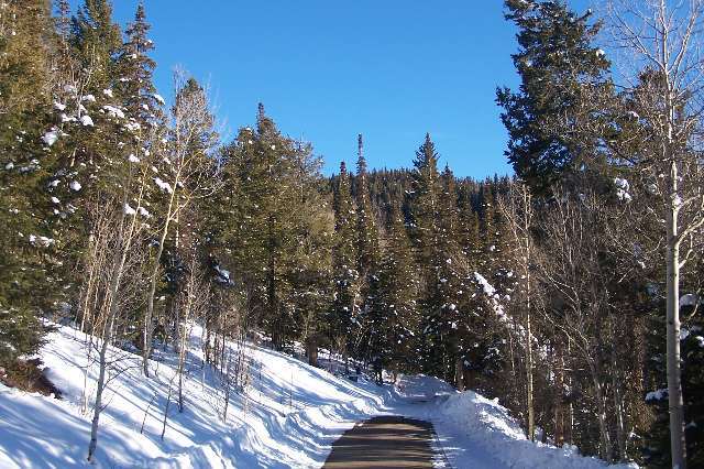 389 Ridge Road Telluride, CO 81435 - Photo 1 of 4 Primary Photo