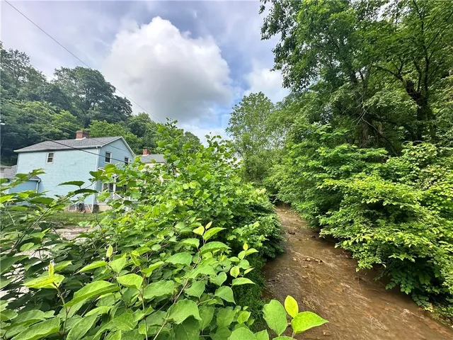 a close up of a flower in a garden