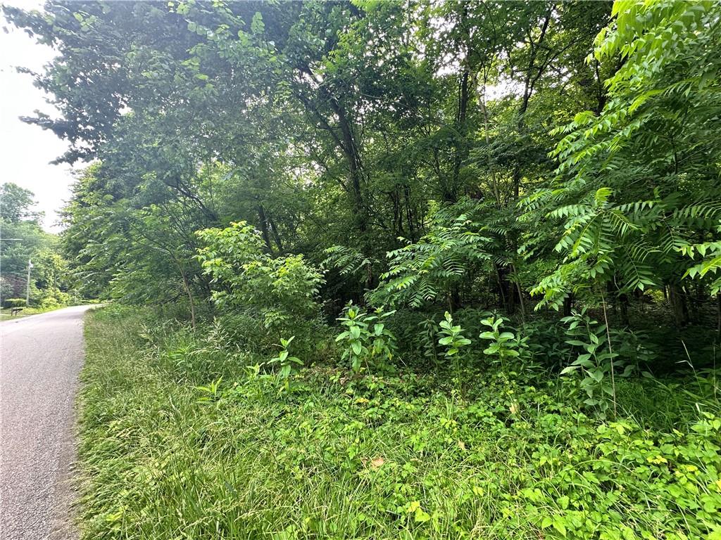 0 Johnson Hollow Road Fayette City, PA 15438 - Photo 16 of 42 a view of a lush green forest with lots of trees