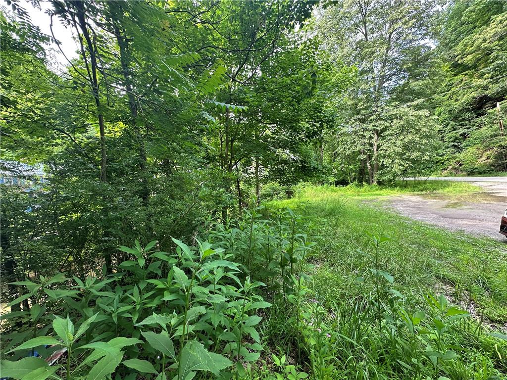 0 Johnson Hollow Road Fayette City, PA 15438 - Photo 19 of 42 a view of outdoor space and yard