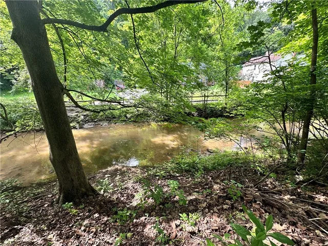 a view of a garden with large trees