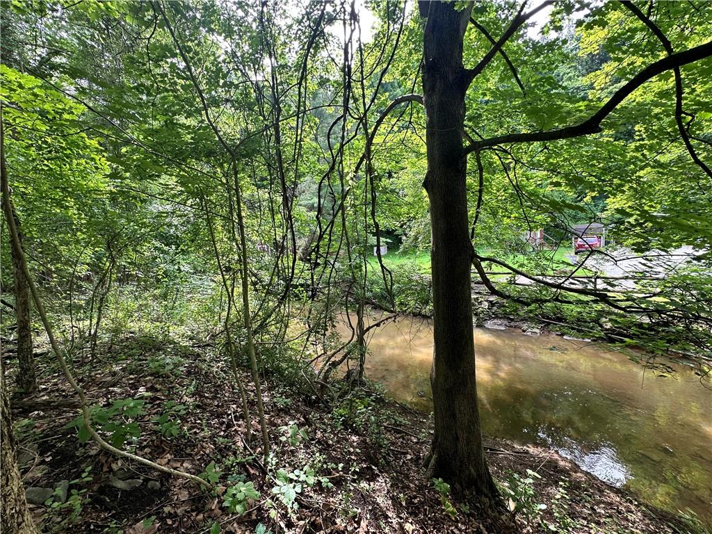 0 Johnson Hollow Road Fayette City, PA 15438 - Photo 26 of 42 a close up of tree