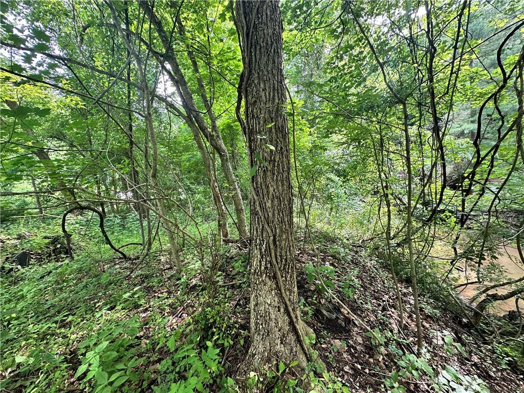 0 Johnson Hollow Road Fayette City, PA 15438 - Photo 27 of 42 a view of outdoor space and green space