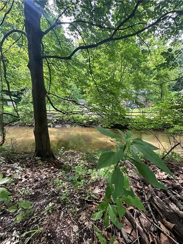 a view of a lake with a tree