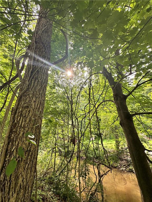 0 Johnson Hollow Road Fayette City, PA 15438 - Photo 29 of 42 a yard with tall trees