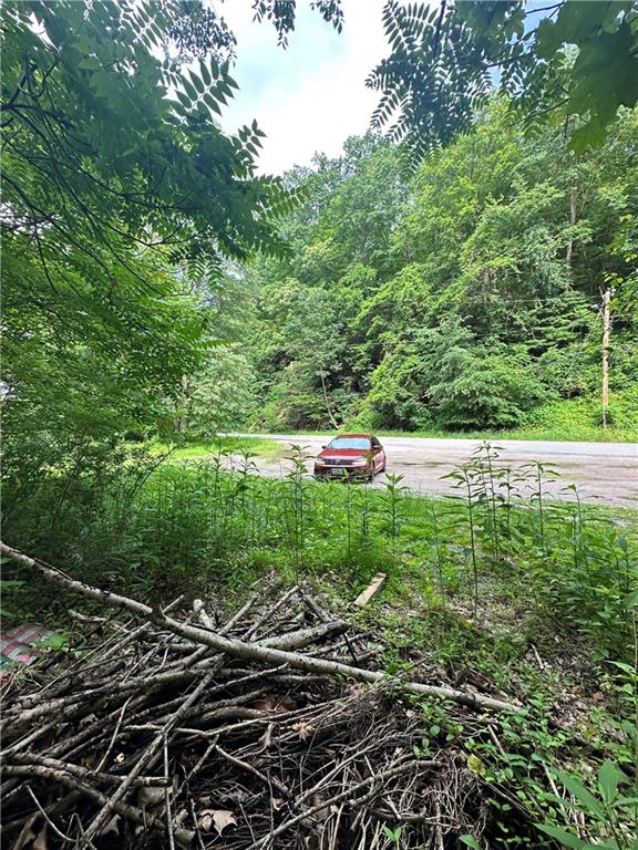 0 Johnson Hollow Road Fayette City, PA 15438 - Photo 30 of 42 a garden view