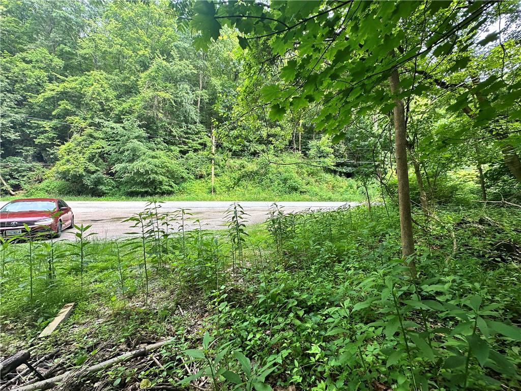 0 Johnson Hollow Road Fayette City, PA 15438 - Photo 32 of 42 a backyard of a house with lots of green space