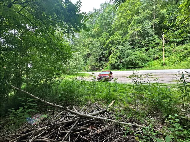 a backyard of a house with lots of green space
