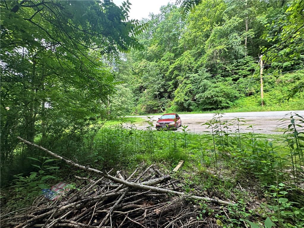 0 Johnson Hollow Road Fayette City, PA 15438 - Photo 33 of 42 a backyard of a house with lots of green space