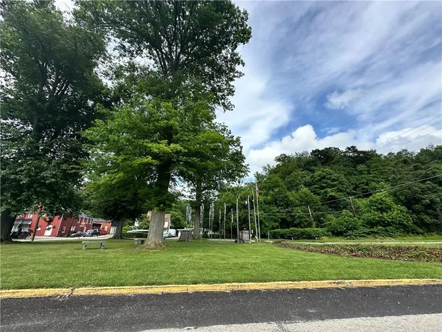 a view of a trees in a yard
