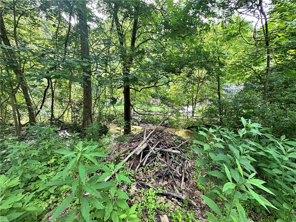 0 Johnson Hollow Road Fayette City, PA 15438 - Photo 6 of 42 a view of forest