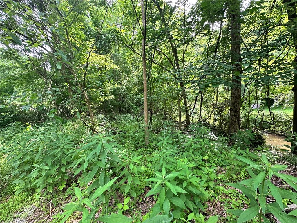 0 Johnson Hollow Road Fayette City, PA 15438 - Photo 7 of 42 a view of a lush green forest with lots of trees