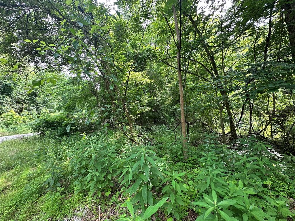 0 Johnson Hollow Road Fayette City, PA 15438 - Photo 8 of 42 a view of a lush green forest
