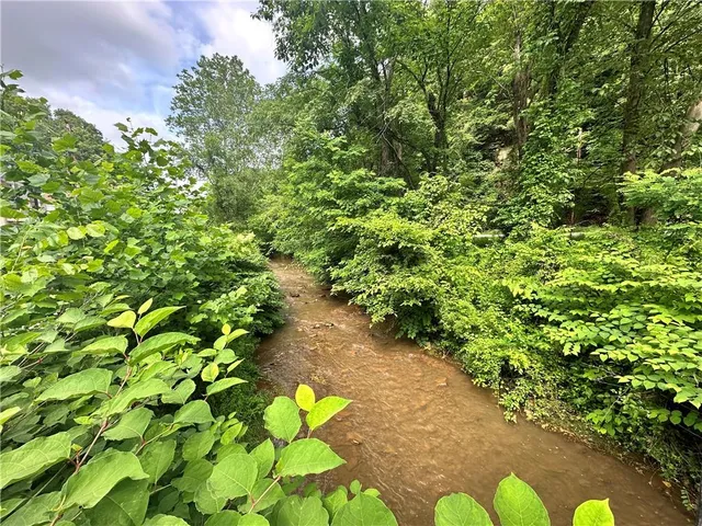 a view of a garden with plants