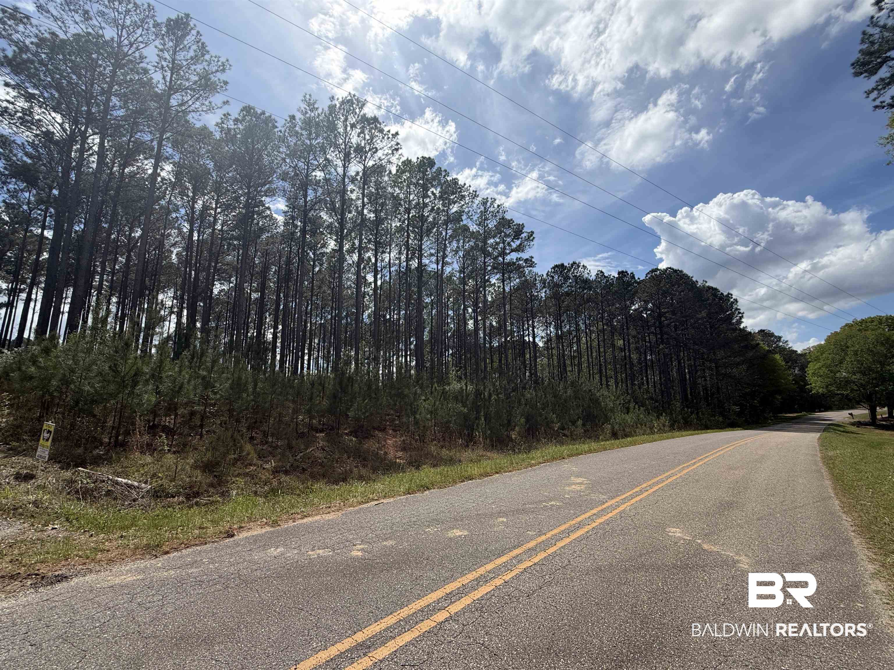 Tbd Old Drive In Road Grove Hill, AL 36451 - Photo 3 of 9 View of asphalt street
