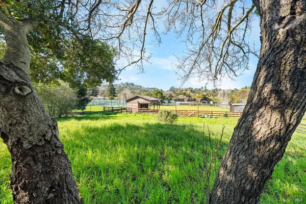 a view of yard with green space