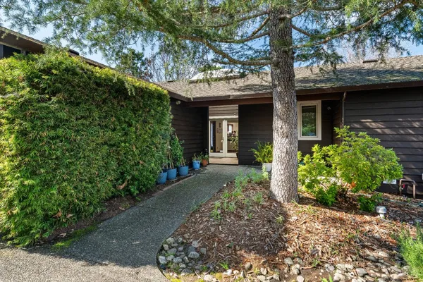 a front view of a house with a garden and plants