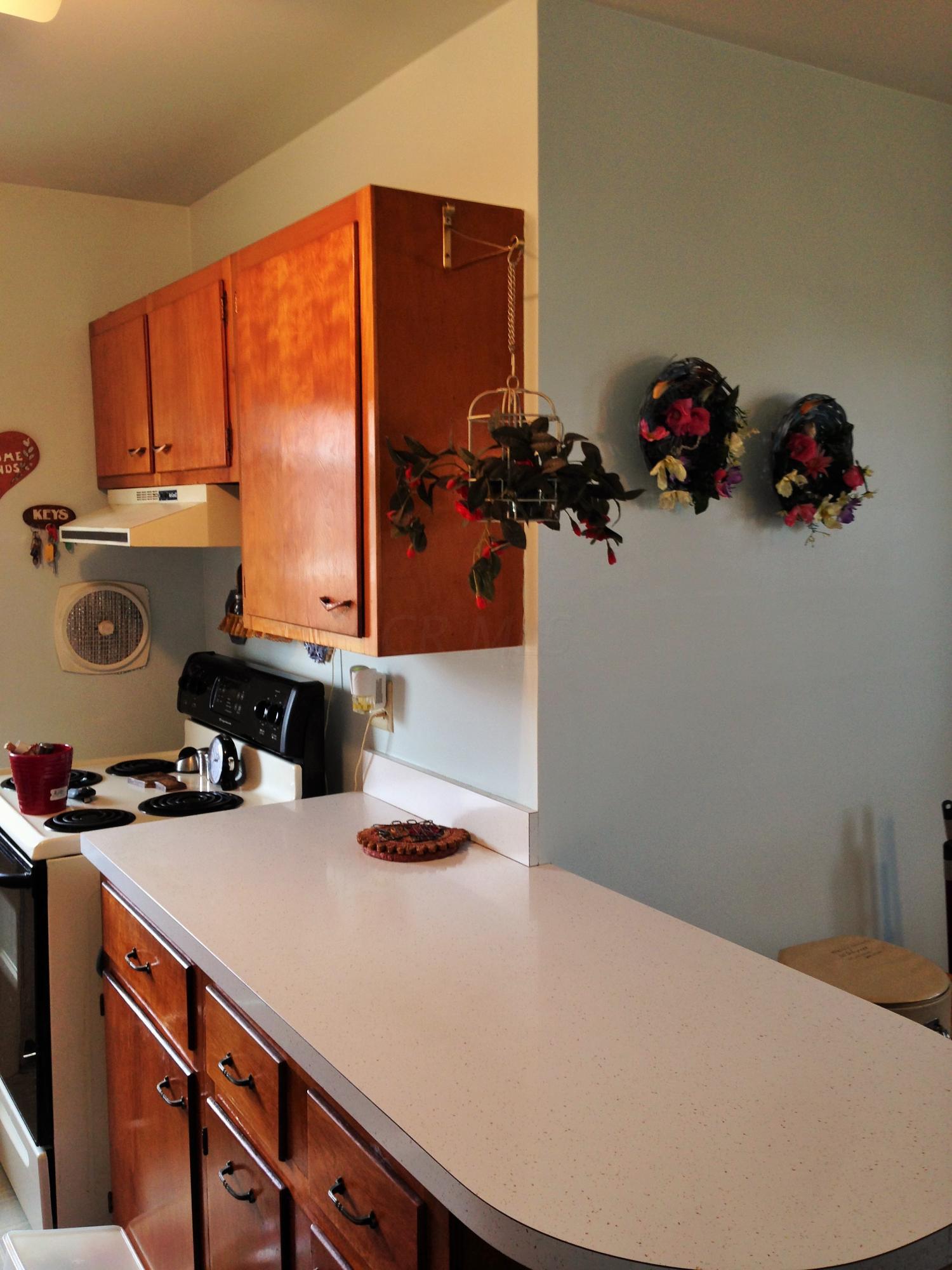 141 Schryver Road Columbus, OH 43207 - Photo 3 of 8 Gallery Image 3