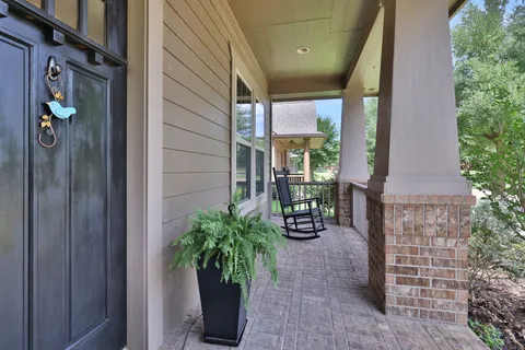 a potted plant in front of a door