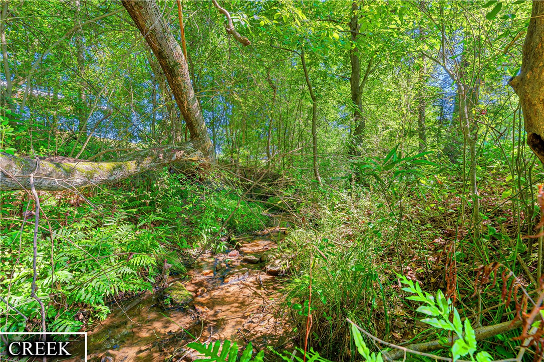 1128 Friendship Road Seneca, SC 29678 - Photo 2 of 32 Creek