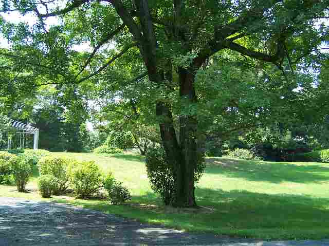 5 Ridge Road Brunswick, NY 12180 - Photo 8 of 10 Photo 8