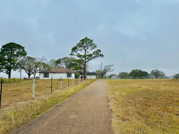 a view of a yard