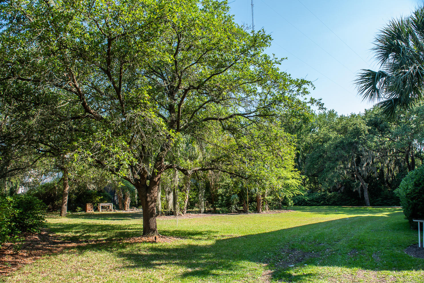 1644 Home Farm Road, Unit LOT 13 Mount Pleasant, SC 29464 - Photo 2 of 9 1644HomeFarm-3