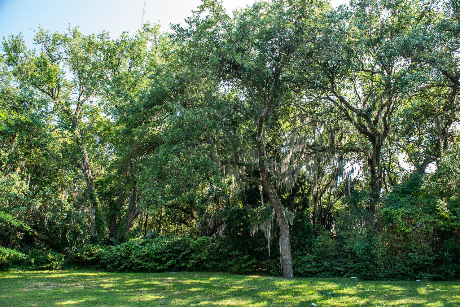1644 Home Farm Road, Unit LOT 13 Mount Pleasant, SC 29464 - Photo 7 of 9 1644HomeFarm-9