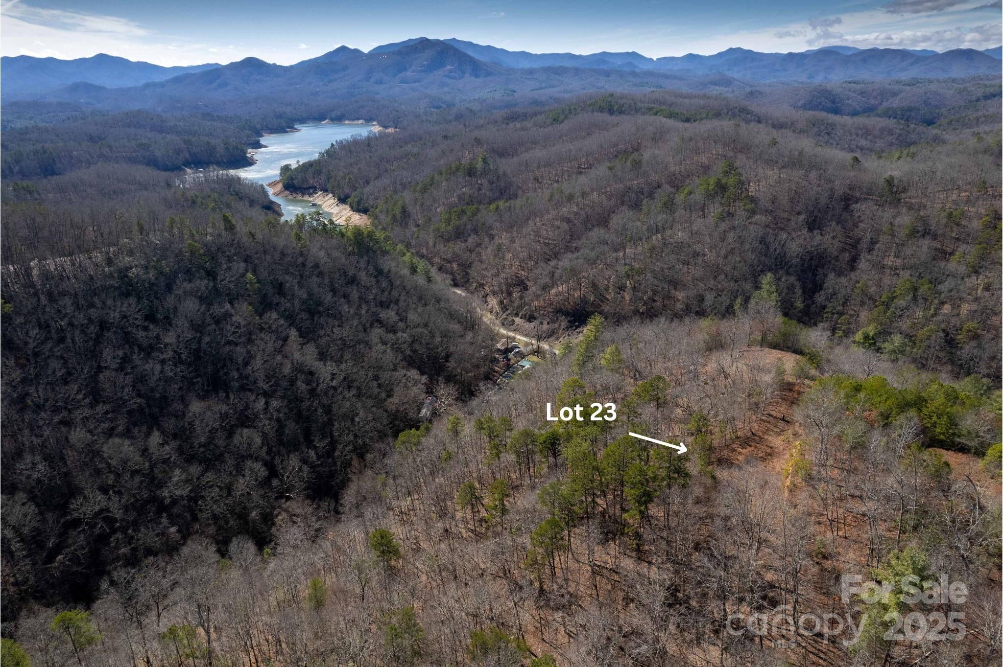 Lot 23 Rusty's Ridge Road Bryson City, NC 28713 - Photo 8 of 10