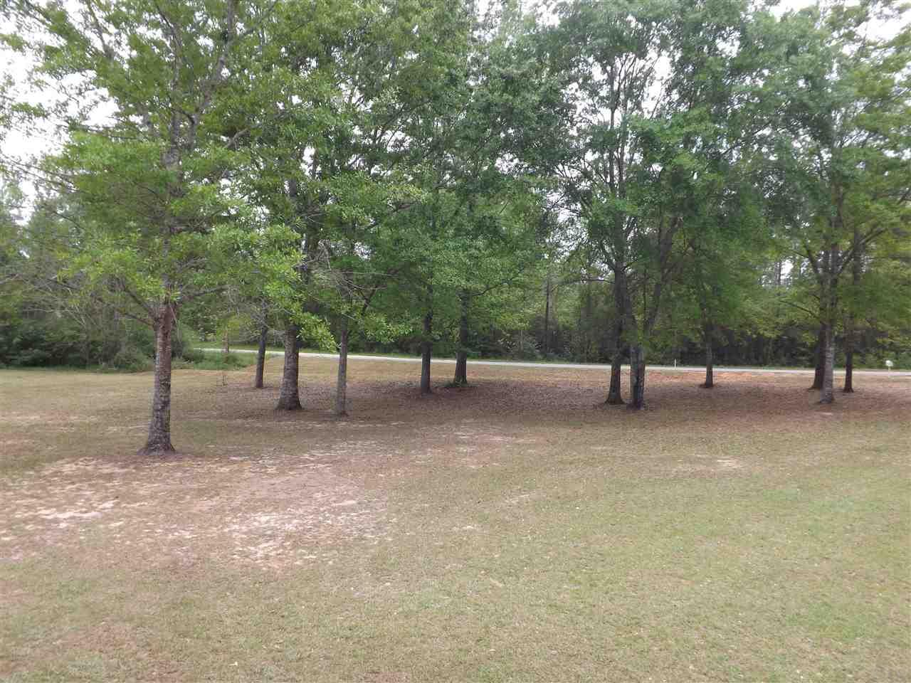 2920 Bud Diamond Road Jay, FL 32565 - Photo 47 of 48