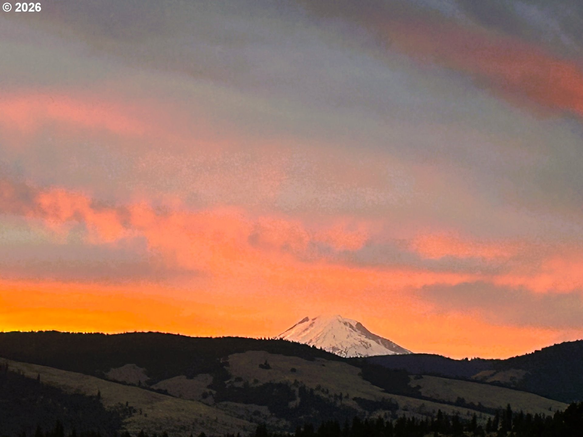 1515 Morgensen Road Mosier, OR 97040 - Photo 6 of 46 View