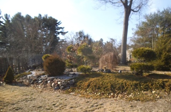 46 Willowbrook Drive Springfield, MA 01129 - Photo 6 of 21 Gallery Image 6