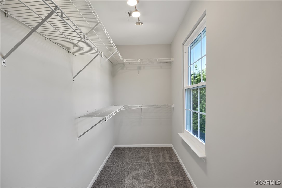 11202 Heathstead Road Chester, VA 23831 - Photo 23 of 50 Spacious closet featuring carpet flooring