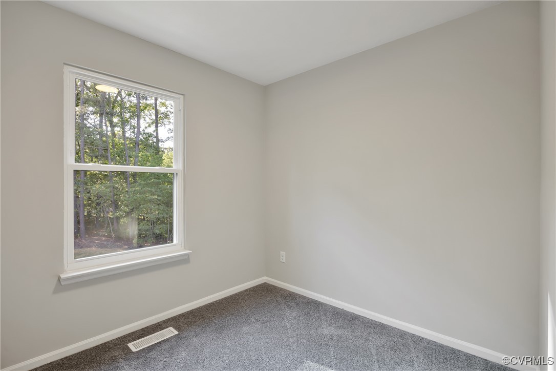 11202 Heathstead Road Chester, VA 23831 - Photo 30 of 50 Unfurnished room featuring baseboards and carpet