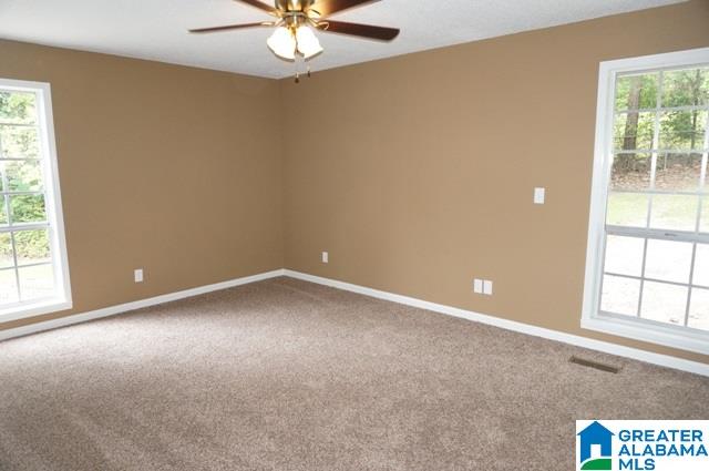 809 Burning-Tree Trail Alabaster, AL 35007 - Photo 17 of 29