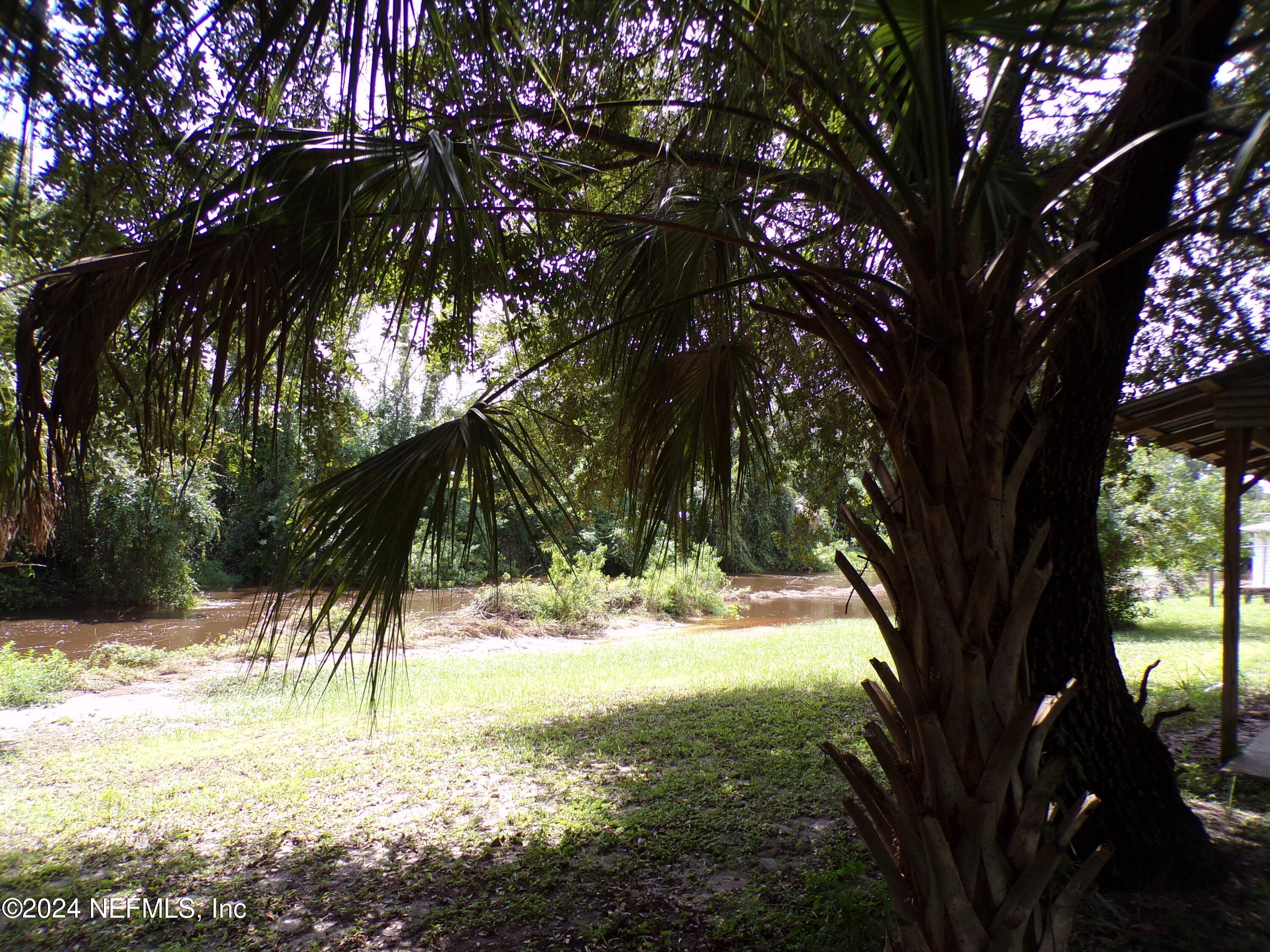 10642 East Bay Road Gibsonton, FL 33534 - Photo 29 of 32 a view of a yard with a tree