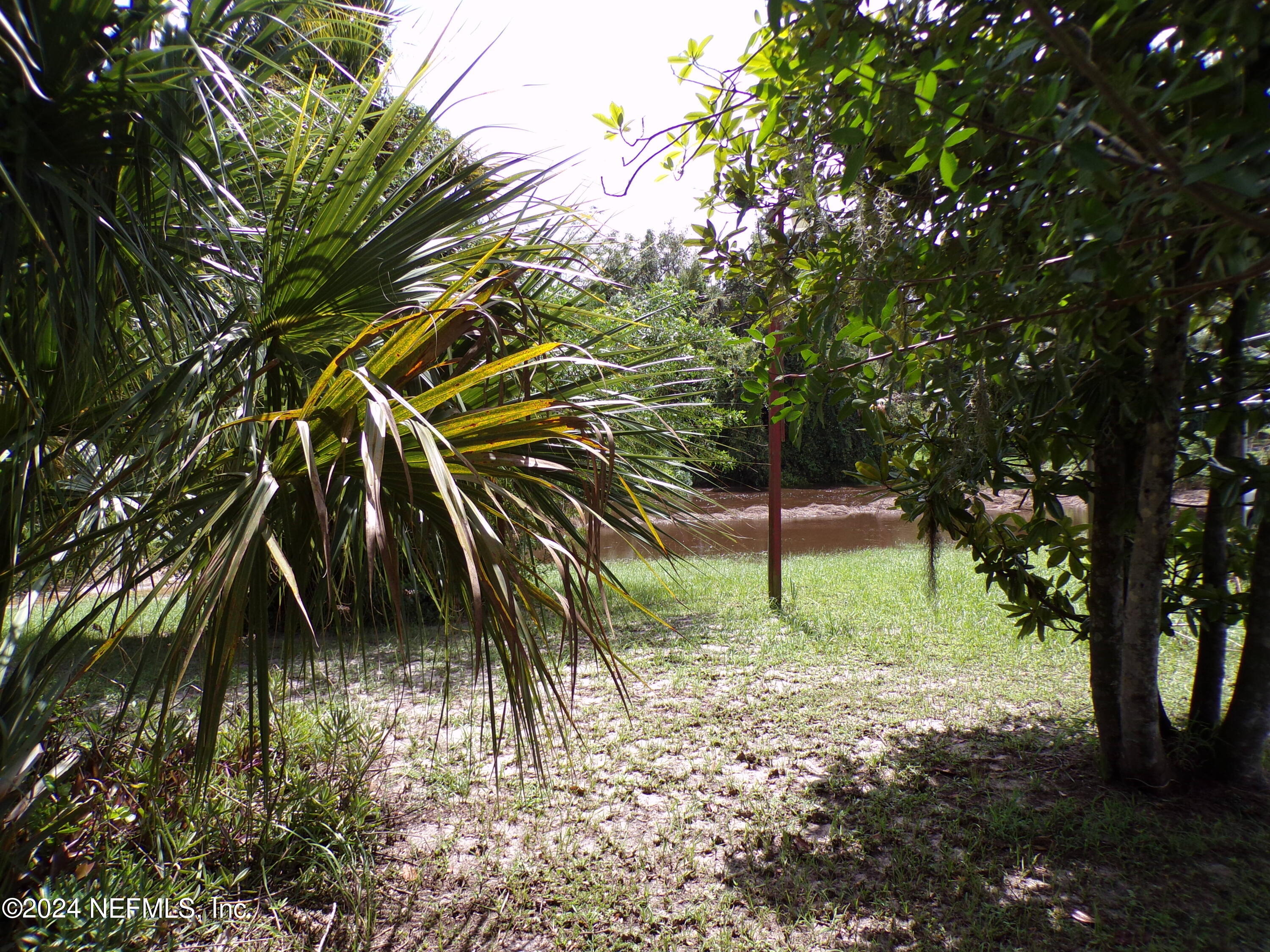 10642 East Bay Road Gibsonton, FL 33534 - Photo 31 of 32 a view of yard