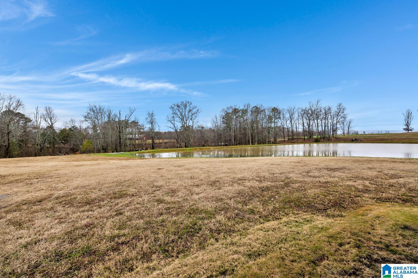 2712 Loop Road Steele, AL 35987 - Photo 37 of 45